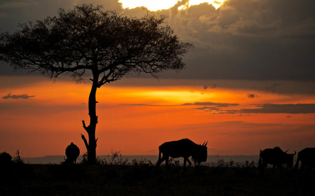 東非-坦尚尼亞 恩格龍格龍火山口 Ngorongoro-Crater
