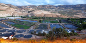以色列蓄水灌溉