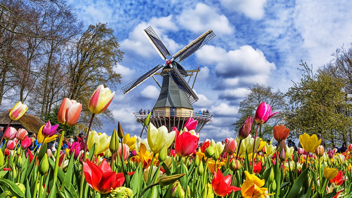 庫肯霍夫花園-Keukenhof