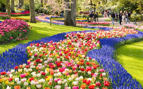 庫肯霍夫花園-shutterstock_277574795-M