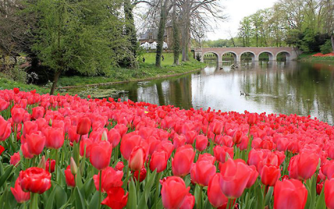 img_0626-Groot-Bijgaarden-Castle