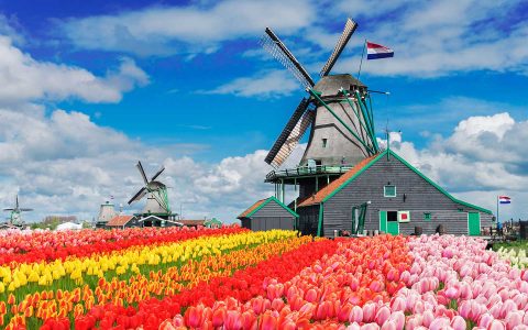 shutterstock_526760944-Keukenhof-M-1