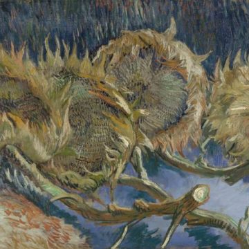 vier-uitgebloeide-zonnebloemen-vincent-van-gogh-44519-copyright-kroller-muller-museum