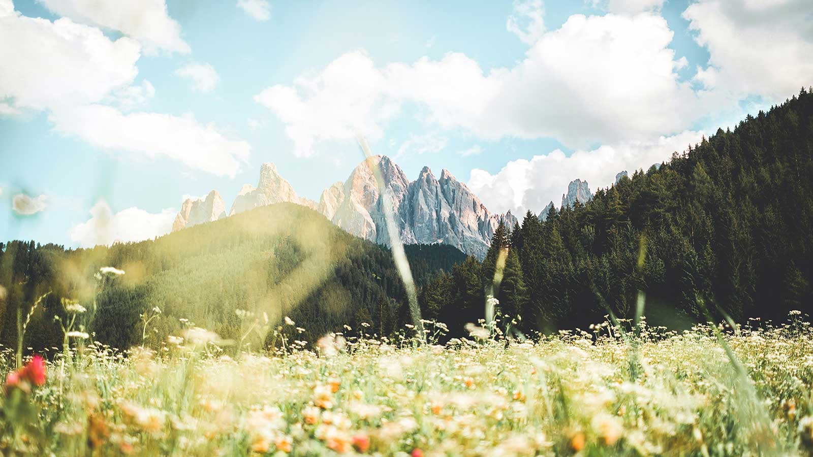 北義多洛米堤｜Dolomiti 夢開始的地方