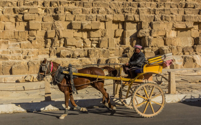 百夫長旅遊_非洲_埃及_埃及馬車_L