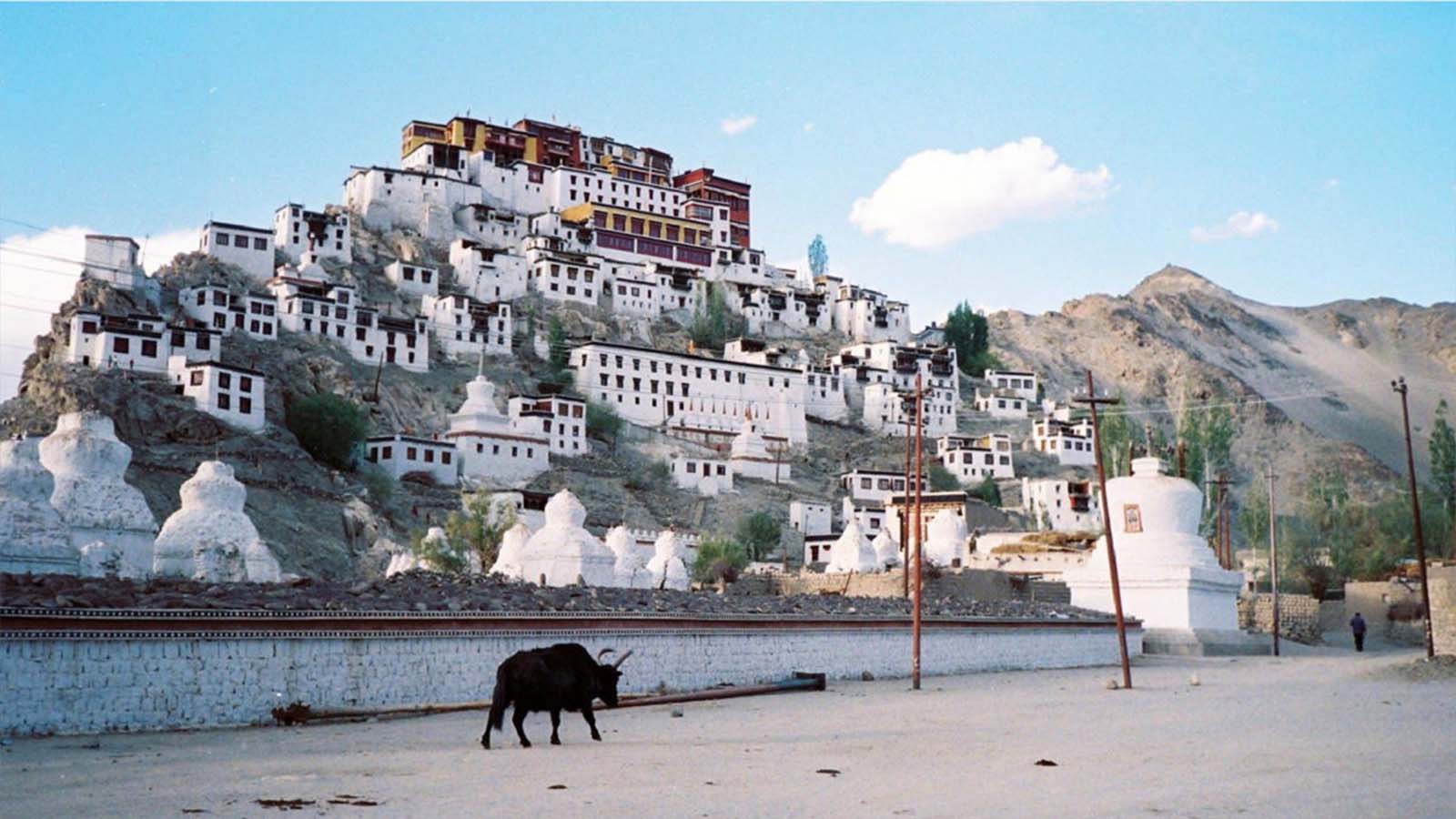 百夫長旅遊_亞洲_北北印_提克西寺如同小布達拉宮-Thiksey-Gompa-M-1200x675