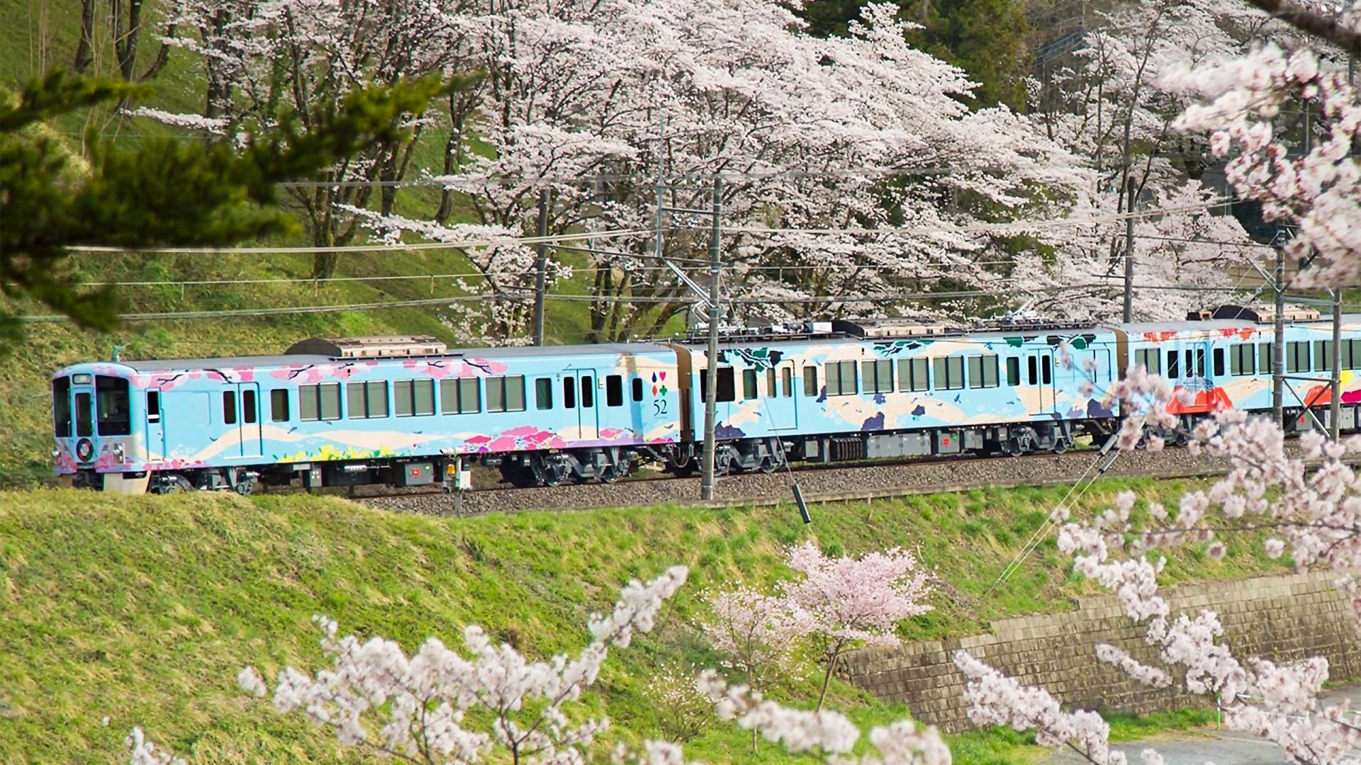 日本關東｜至福雙鐡賞櫻