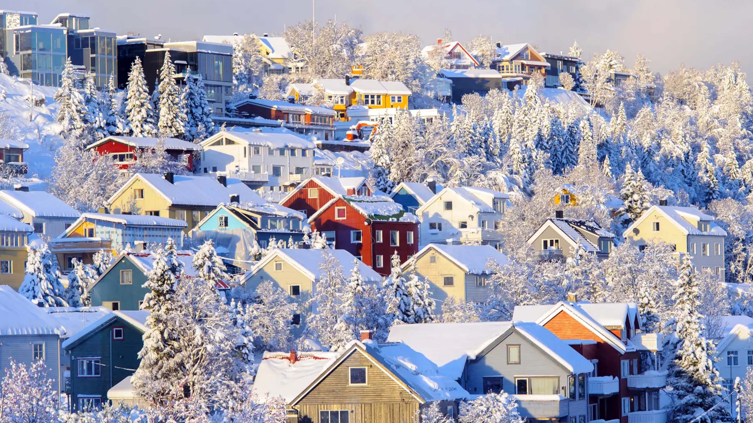 百夫長旅遊_北歐_羅浮敦_特羅姆瑟 Tromso-portada