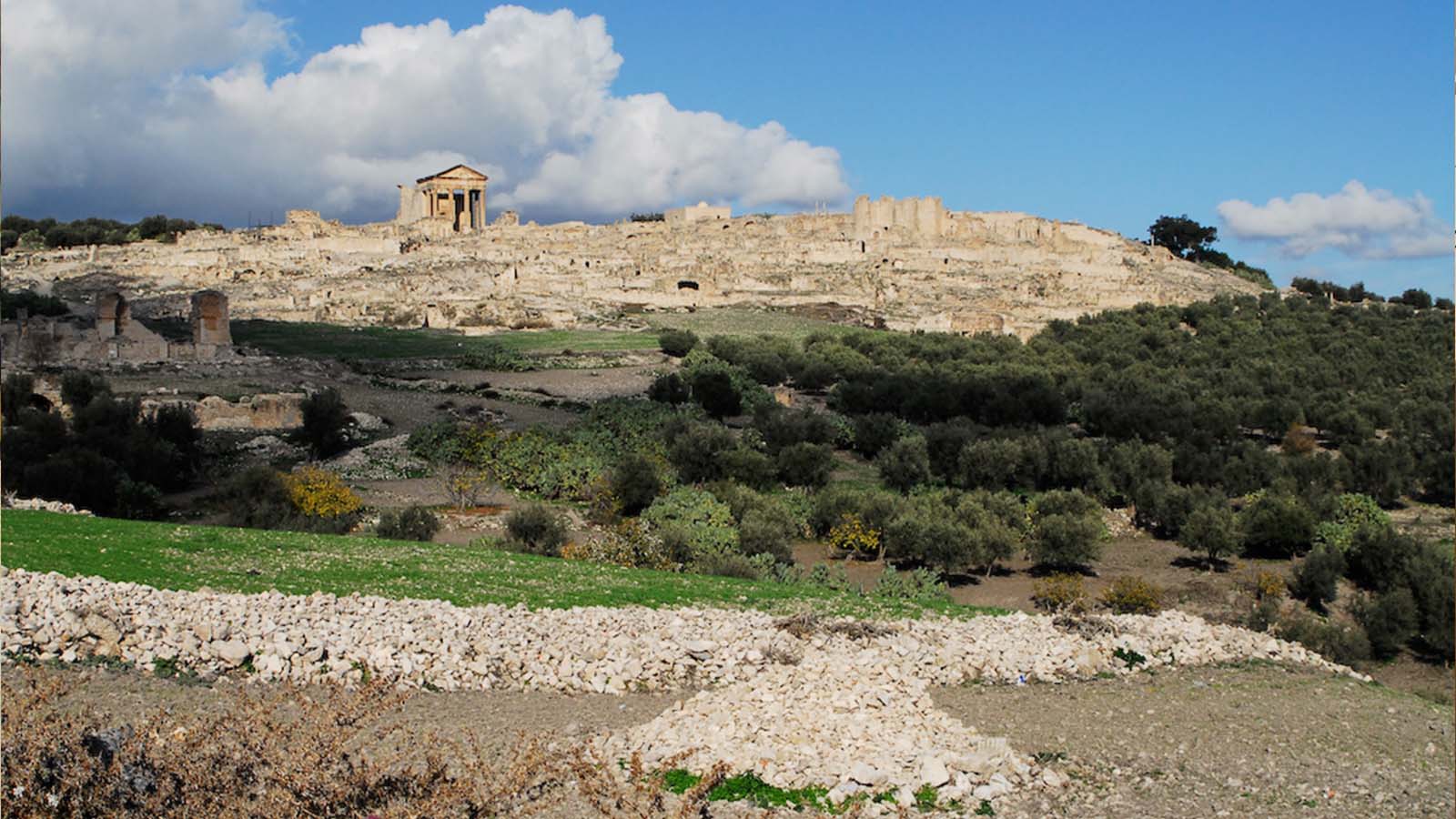 百夫長旅遊_非洲_突尼西亞_歐格加媚Dougga