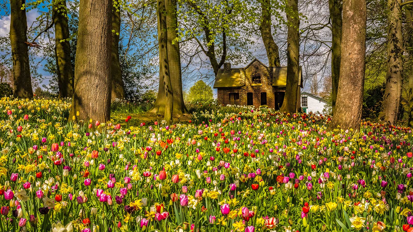 Groot-Bijgaarden-Castle-比利時鬱金香花園城堡-M-1