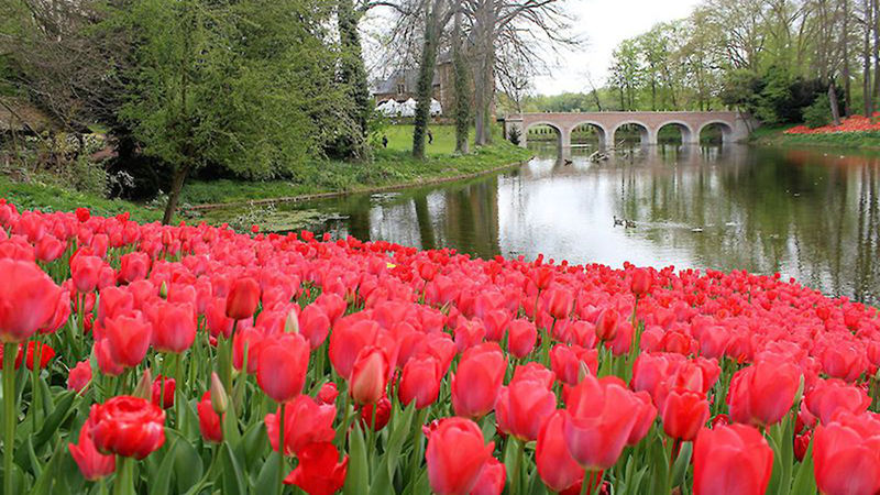 img_0626-Groot-Bijgaarden-Castle