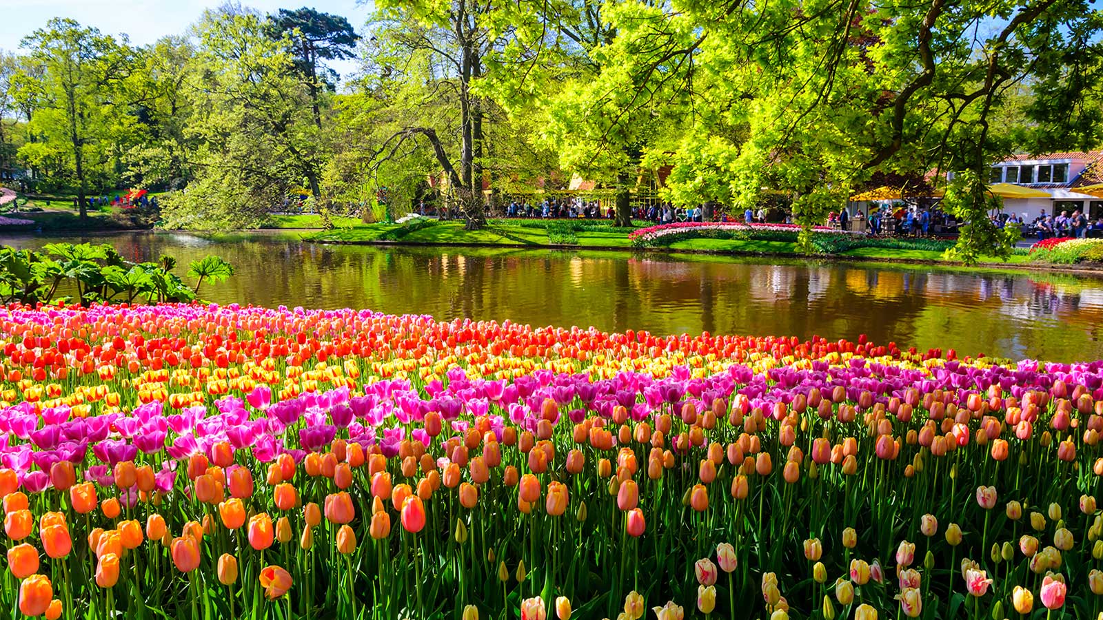 庫肯霍夫花園-shutterstock_428313934-M-1