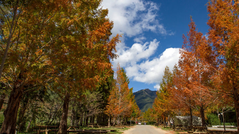 武陵農場-shutterstock_1047076759-L-768x432