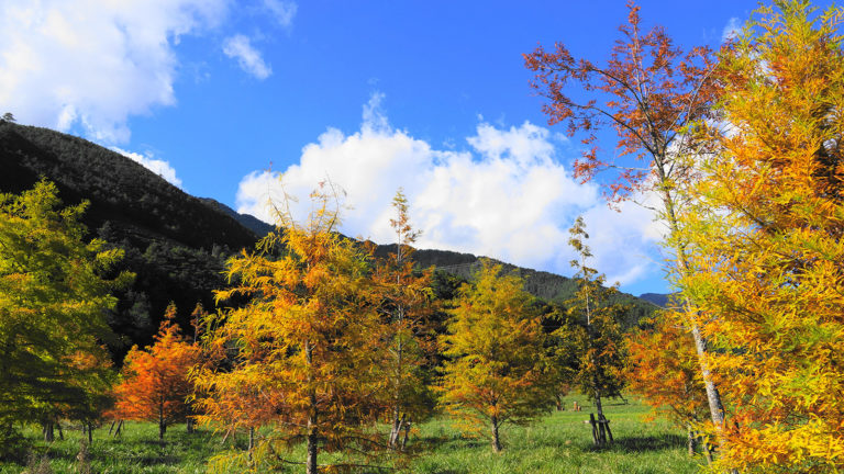 武陵農場-shutterstock_191591897-L-768x432